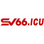 Profile picture of SV66