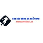 Profile picture of Trang cá độ bóng đá