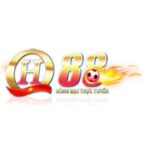 Profile picture of QH88