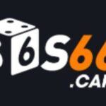 Profile picture of S666 capital