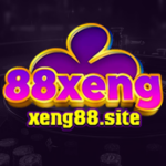 Profile picture of xeng88