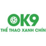 Profile picture of OK9 BOT