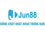 Profile picture of Jun87com