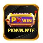 Profile picture of PKWIN