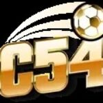 Profile picture of nhacaic54