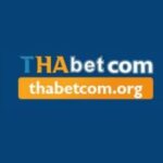 Profile picture of Thabet comorg