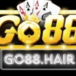 Profile picture of go88hair