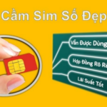 Profile picture of Cầm Sim