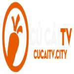 Profile picture of cucaitv city