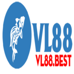 Profile picture of vltamtam best