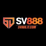 Profile picture of sv888itcom