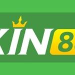 Profile picture of XIN88