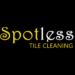 Profile picture of Tile and Grout Cleaning Adelaide